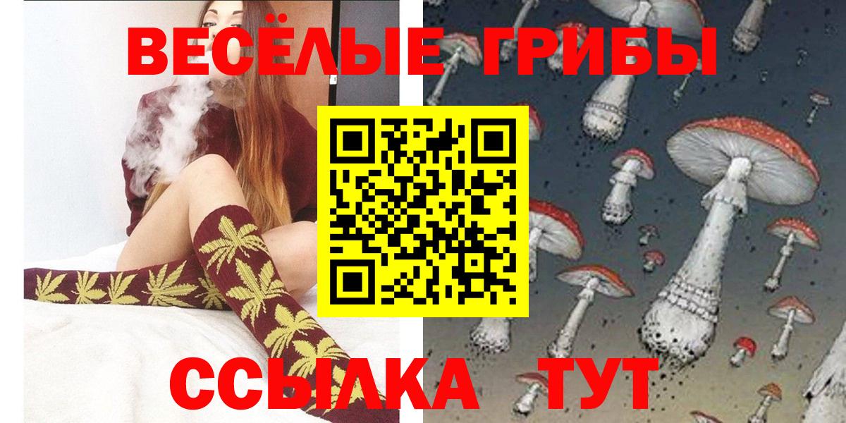 Ростов-на-Дону  Псилоцибиновые грибы Magic Shrooms  Галлюциногенные грибы Psilocybine cubensis  где купить наркоту  Вход с VPN 