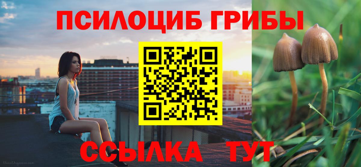 Галлюциногенные грибы мицелий Ростов-на-Дону